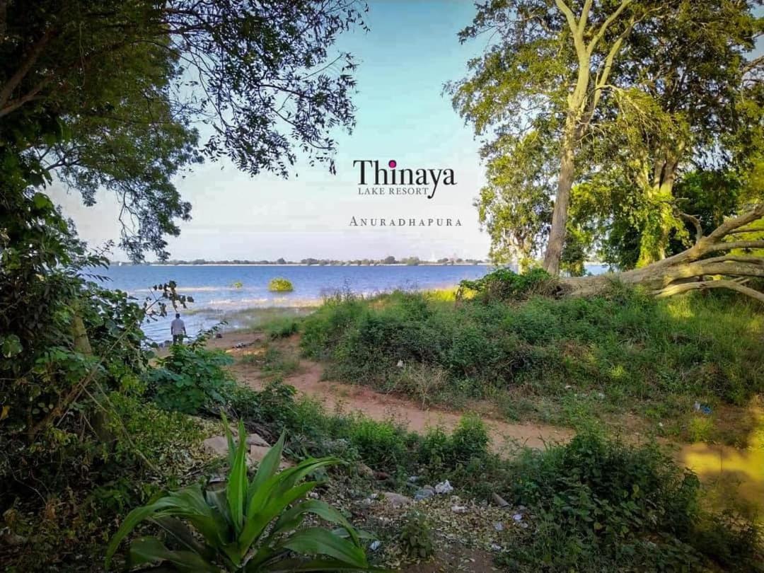 Thinaya Lake Resort อนุราธปุระ ภายนอก รูปภาพ